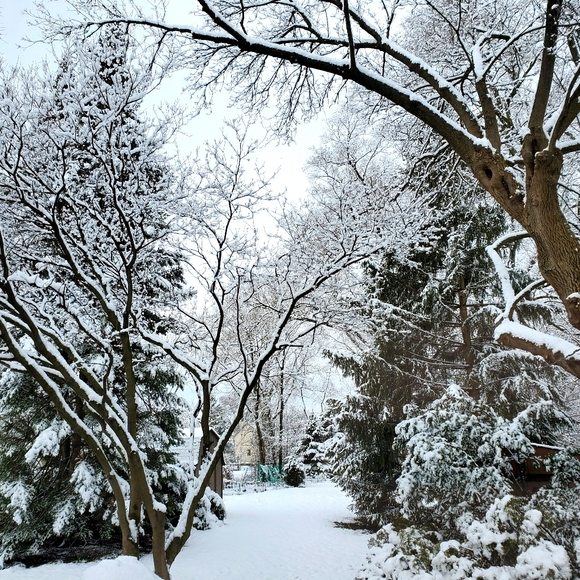 Welcome To My Closet - Picture 11 of 16